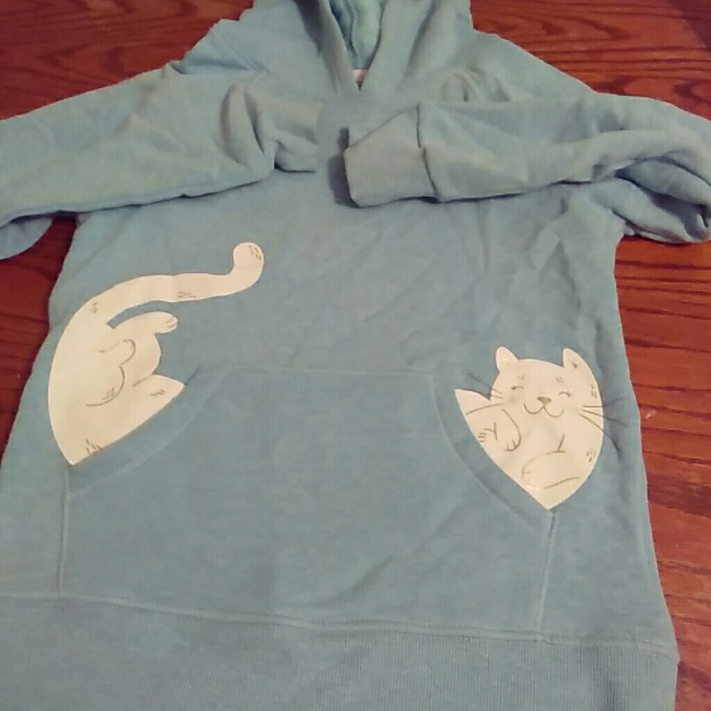 Kitty car hoodie